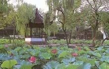 Humble Administrator's Garden, Suzhou