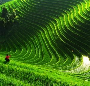 Longsheng e1585229362365